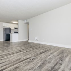 Large living room with a view of the kitchen